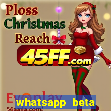 whatsapp beta mirror apk